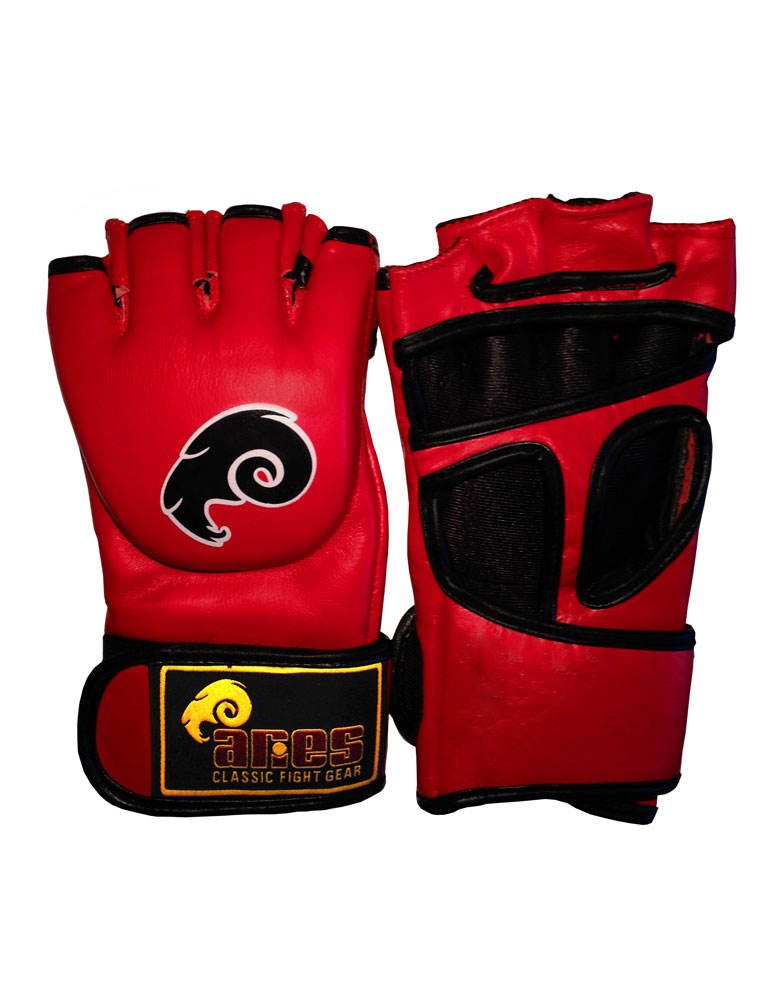MMA Gloves Pro Aries MMA Gear